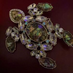 Large turtle, blue,green tortoise